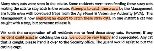 Cats on our condo bulletin