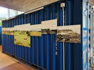 The Pacific Tourist by Maki Hayashida from Japan displayed outside national library. I am not entirely sure why these pictures have to be hung by a container.