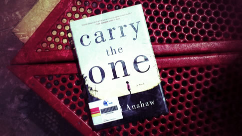 carry the one by carol anshaw